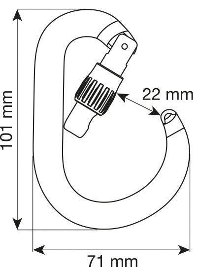 Nimbus Lock Carabiner - CAMP