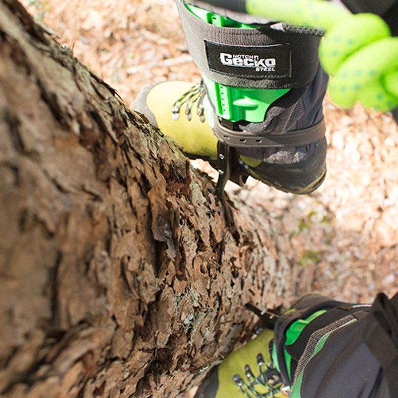 Carica immagine in Galleria Viewer, Gecko Steel Climbers Tree Spurs - NOTCH - ExtremeGear.org