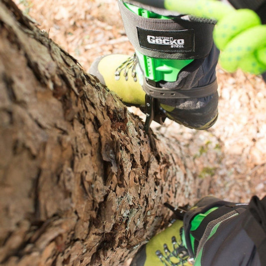 Gecko Steel Climbers Tree Spurs - NOTCH - ExtremeGear.org