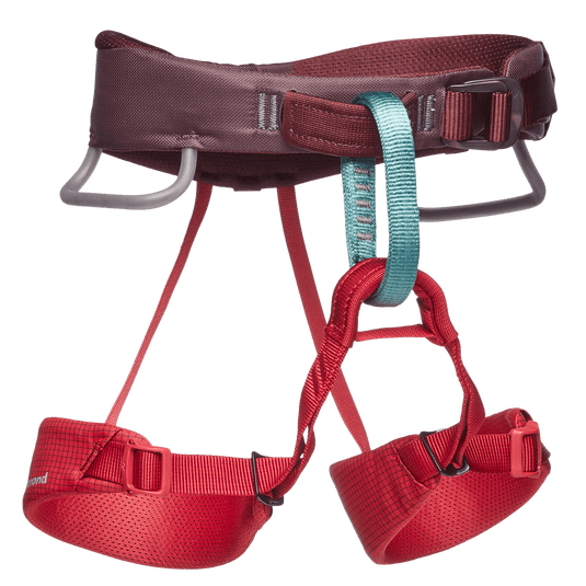 Momentum Kid's Harness - BLACK DIAMOND - ExtremeGear.org