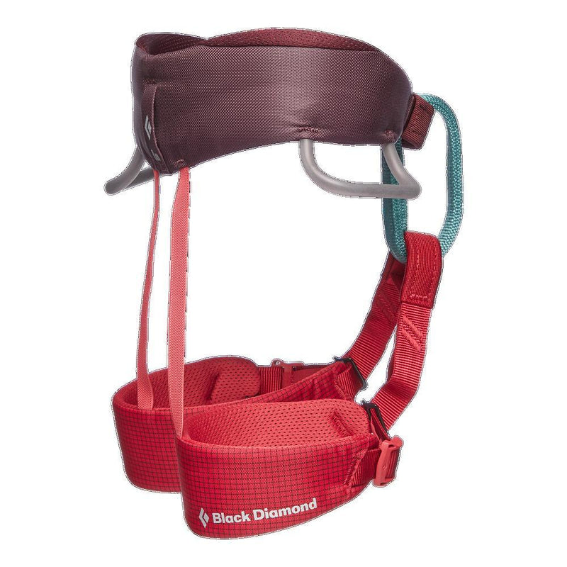 Carregue imagem no visualizador da galeriaMomentum Kid's Harness - BLACK DIAMOND - ExtremeGear.org