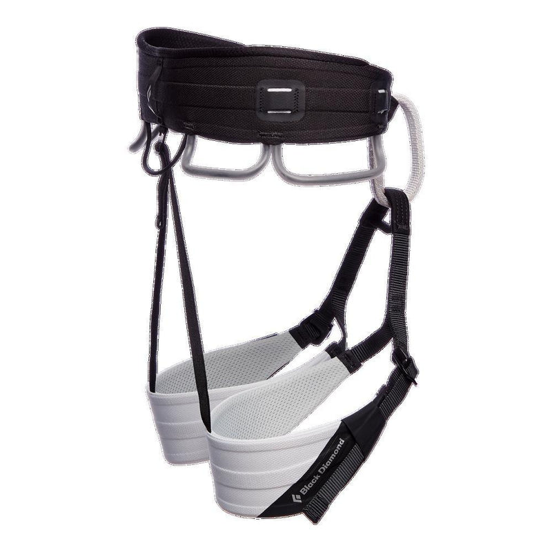 Resmi Galeri görüntüleyicisine yükle, Technician RECCO Harness - BLACK DIAMOND - ExtremeGear.org