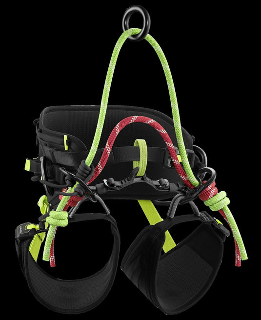 TreeRex Triple Lock Arborist Harness -EDELRID - ExtremeGear.org