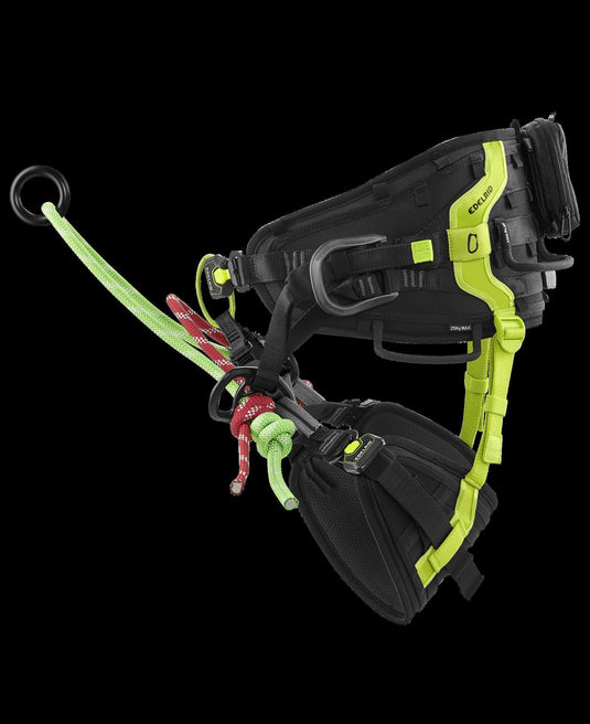 TreeRex Triple Lock Arborist Harness -EDELRID - ExtremeGear.org