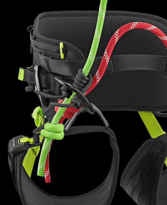 TreeRex Triple Lock Arborist Harness -EDELRID - ExtremeGear.org