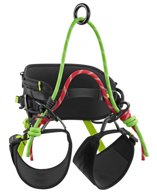 TreeRex Triple Lock Arborist Harness -EDELRID - ExtremeGear.org