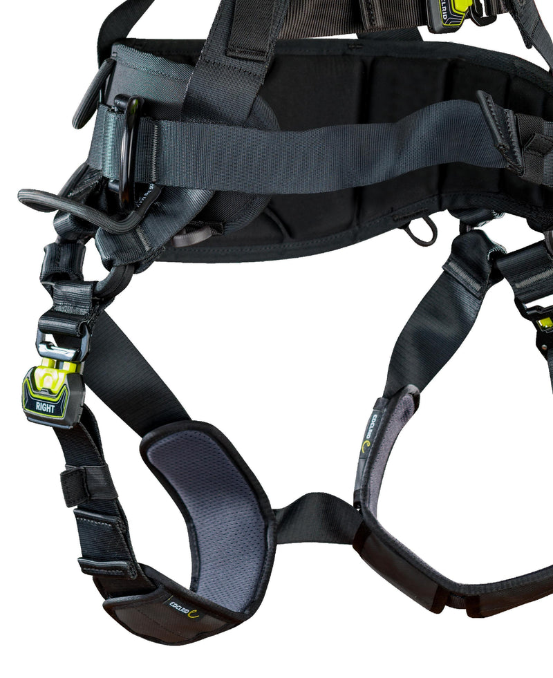 Load image into Gallery viewer, Flex Pro II Full Body Harness - EDELRID - ExtremeGear.org
