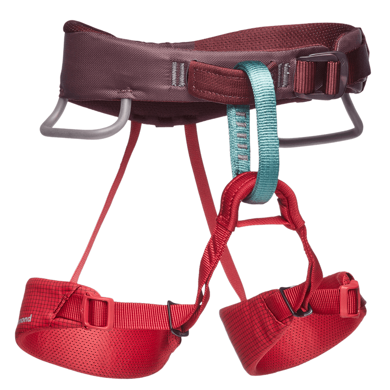 Load image into Gallery viewer, Momentum Kid&#39;s Harness - BLACK DIAMOND - ExtremeGear.org
