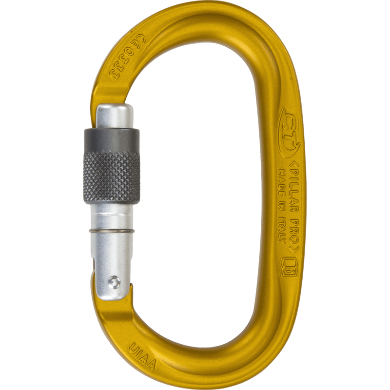 Load image into Gallery viewer, Pillar Pro SG Carabiner - CLIMBING TECHNOLOGY - ExtremeGear.org

