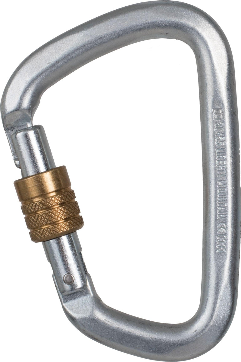 Carica immagine in Galleria Viewer, Steel D Locking Carabiner - CYPHER - ExtremeGear.org
