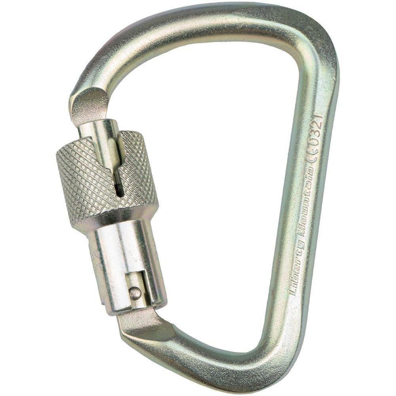 Carica immagine in Galleria Viewer, Steel G Series Large D Locking Carabiner - CYPHER - ExtremeGear.org
